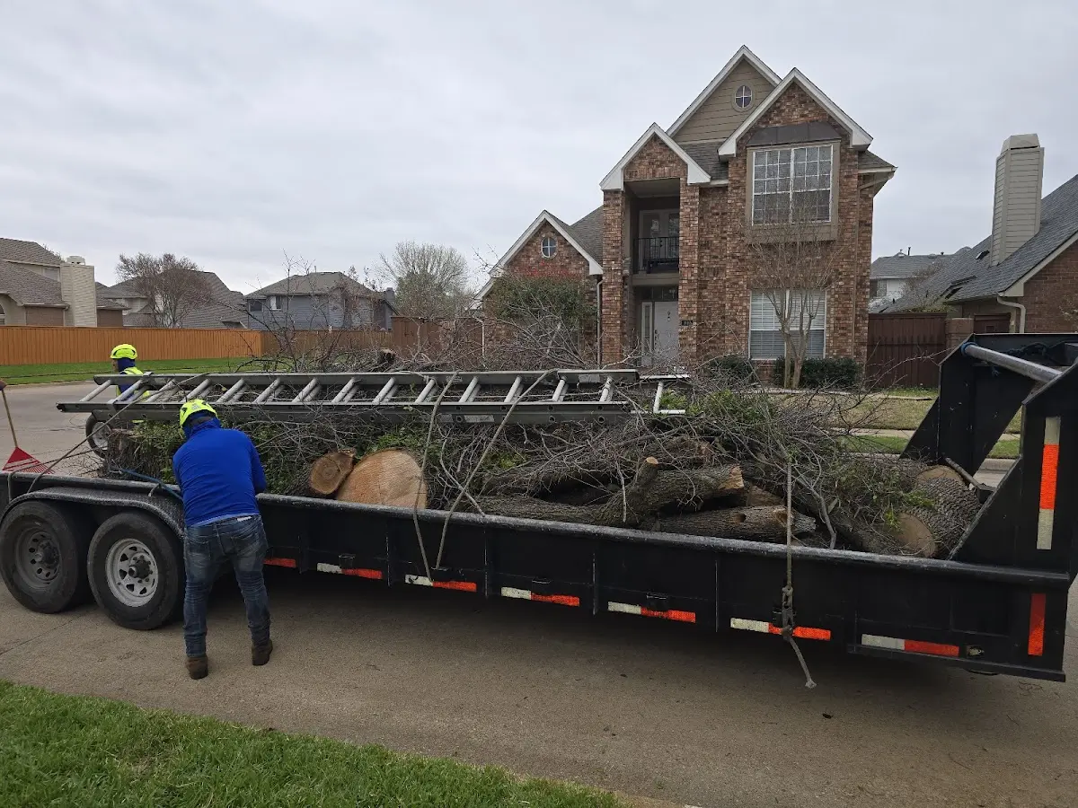 Expert Tree Removal with proper safety equipment in Winnebago